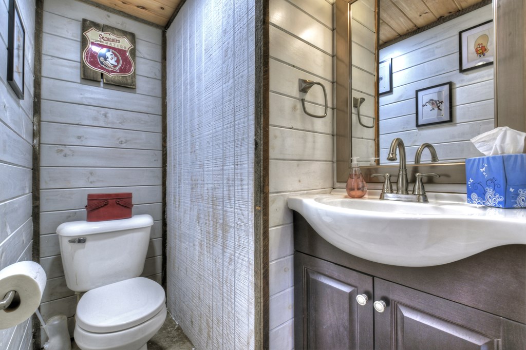 241 Dunn Mill Creek Road Blue Ridge, GA 30513 - Photo 38 of 97 Gallery Image 38