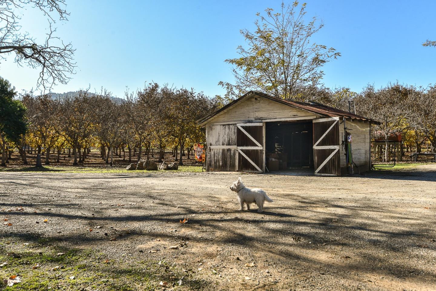 3385 Hecker Pass Road Gilroy, CA 95020 - Photo 11 of 18 a house with trees in front of it