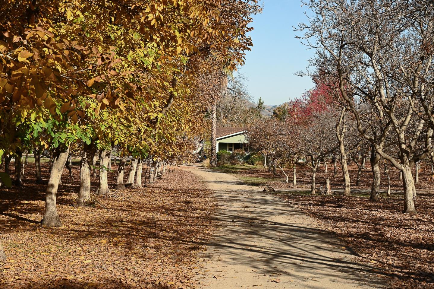3385 Hecker Pass Road Gilroy, CA 95020 - Photo 2 of 18 a view of a town with trees