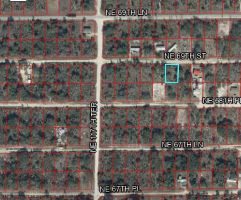 Northeast 69th Street Williston, FL 32696 - Photo 6 of 6