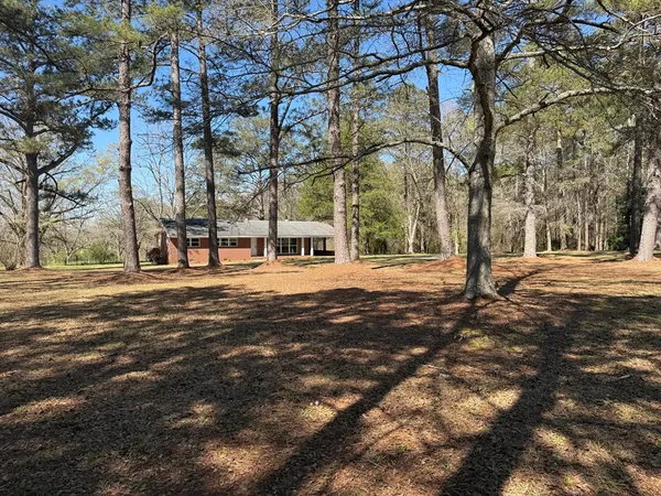 a park view with large trees