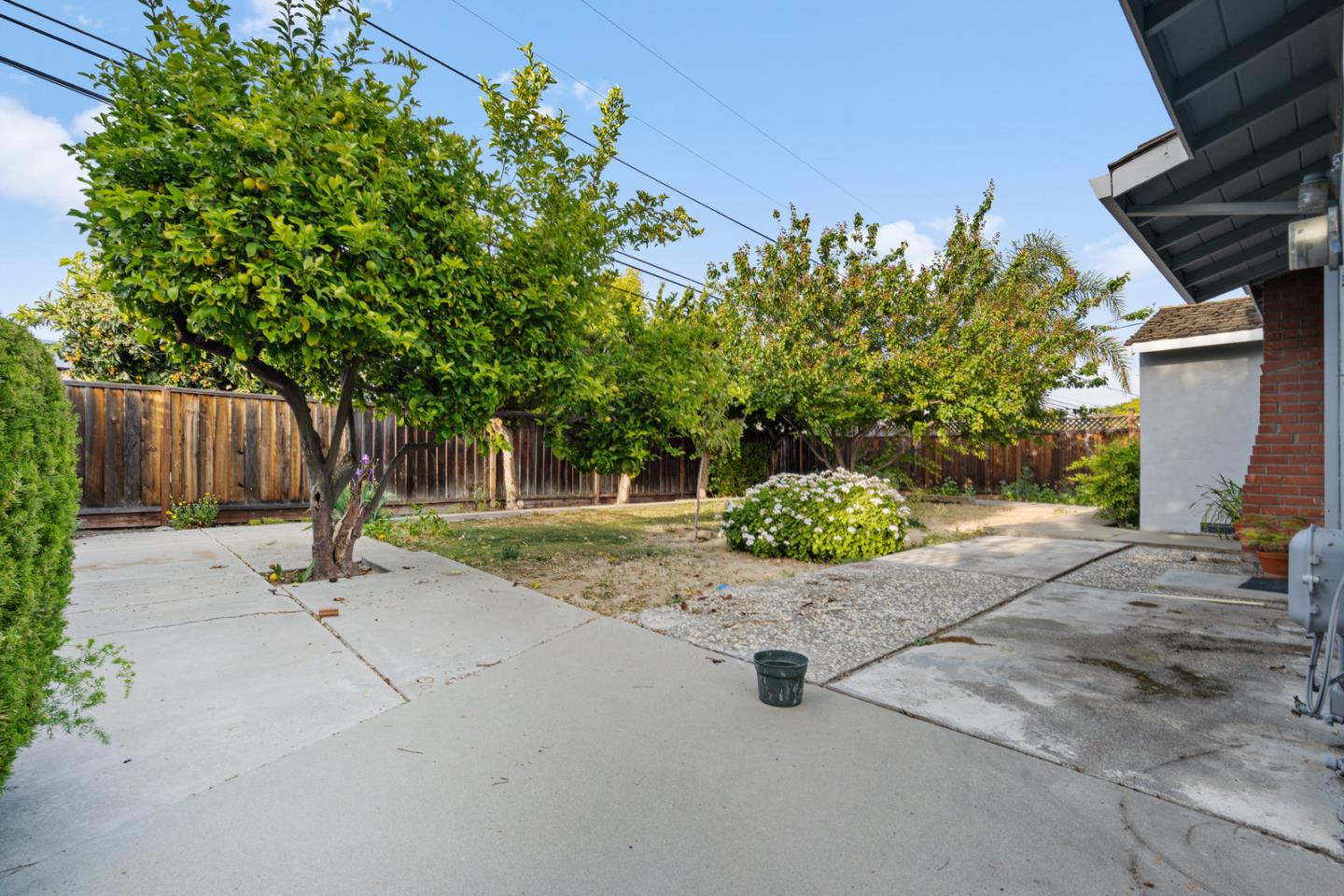 503 Paiute Lane San Jose, CA 95123 - Photo 12 of 18 a view of a street with potted plants and large trees