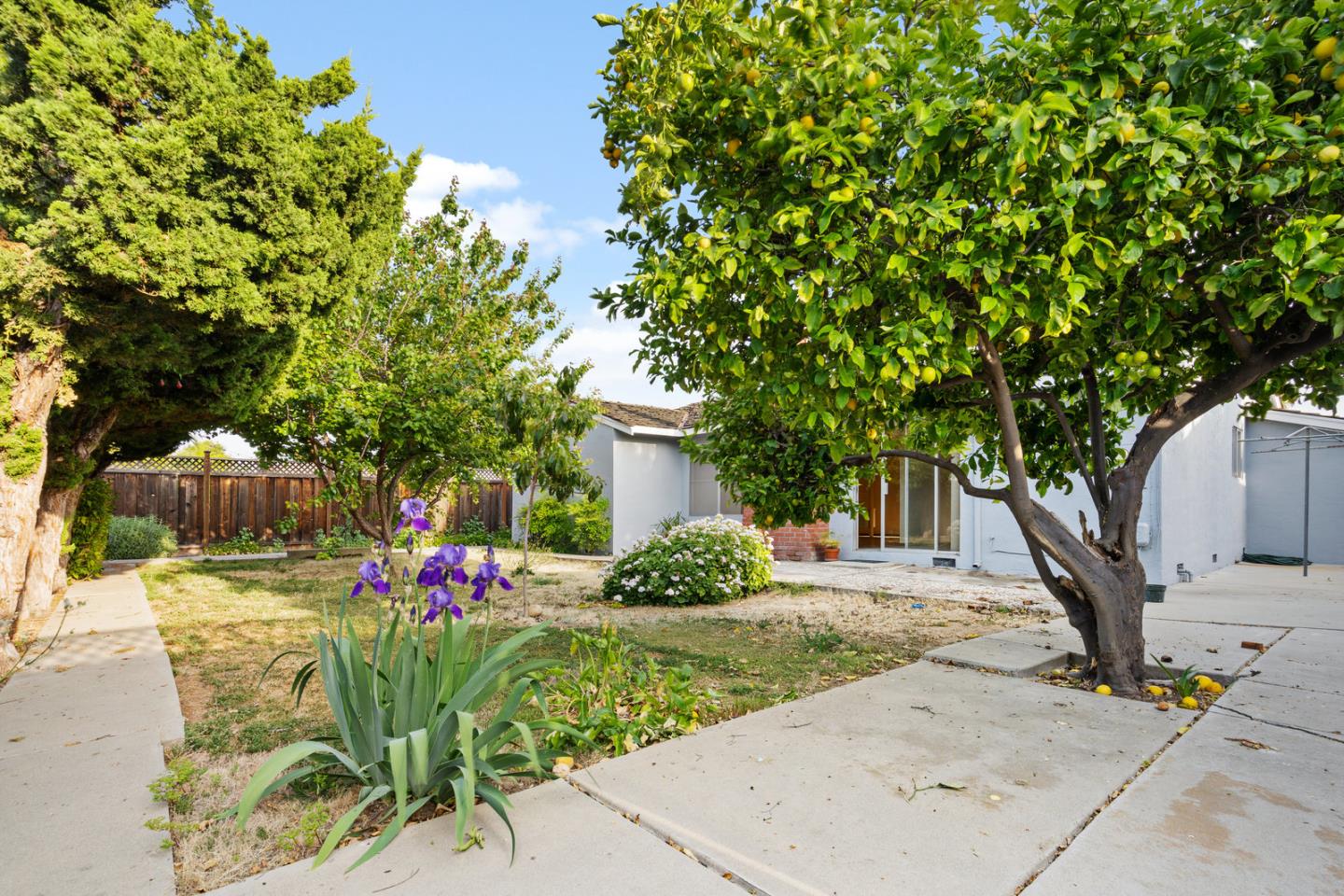 503 Paiute Lane San Jose, CA 95123 - Photo 13 of 18 a front view of a house with garden