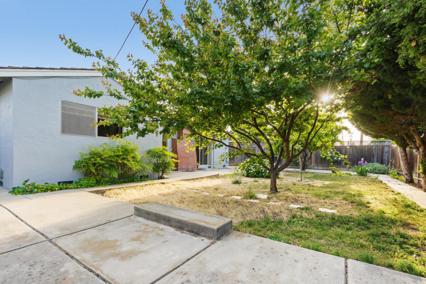 503 Paiute Lane San Jose, CA 95123 - Photo 14 of 18 a view of a yard with plants and trees