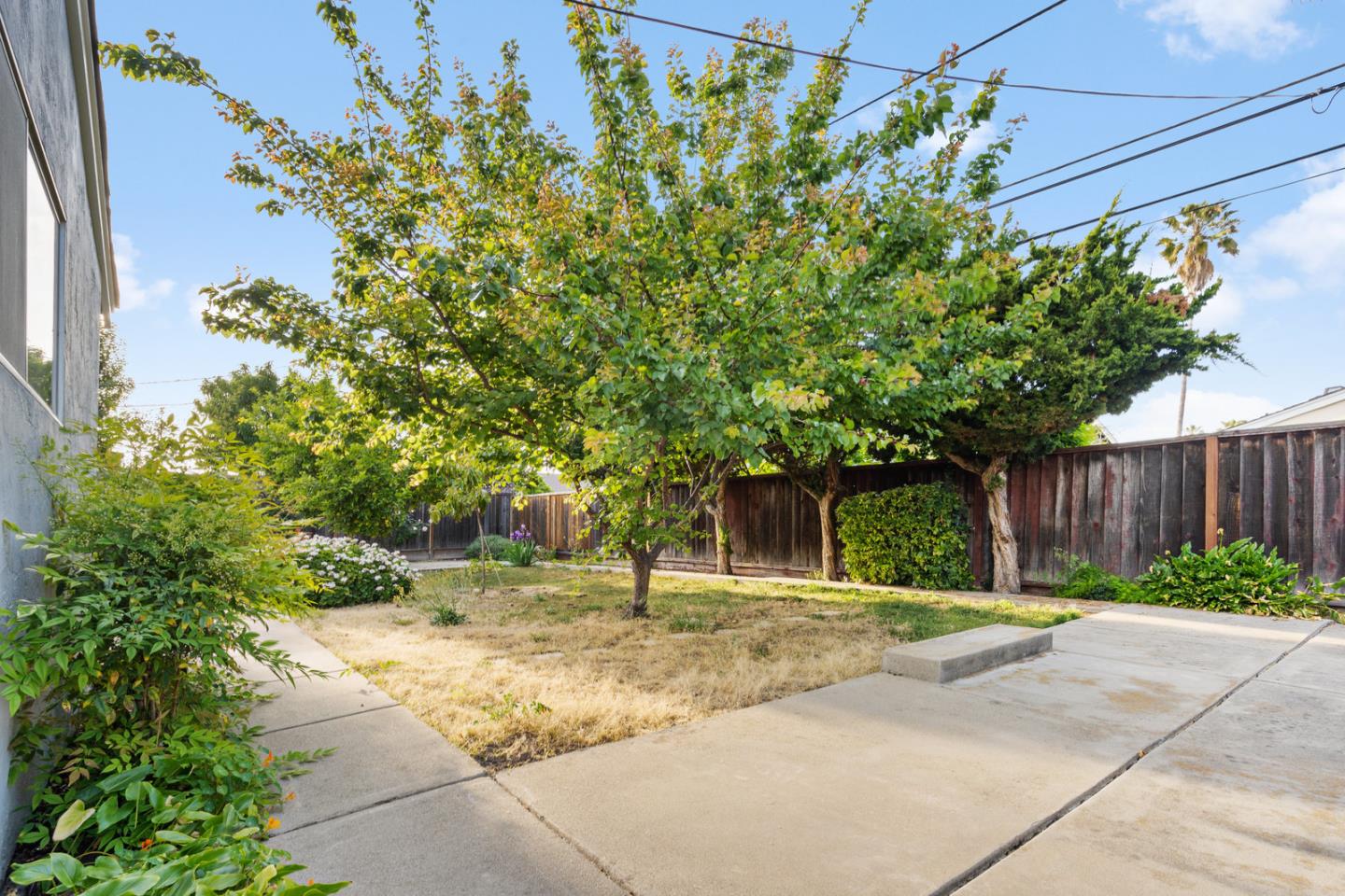 503 Paiute Lane San Jose, CA 95123 - Photo 15 of 18 a house with trees in front of it
