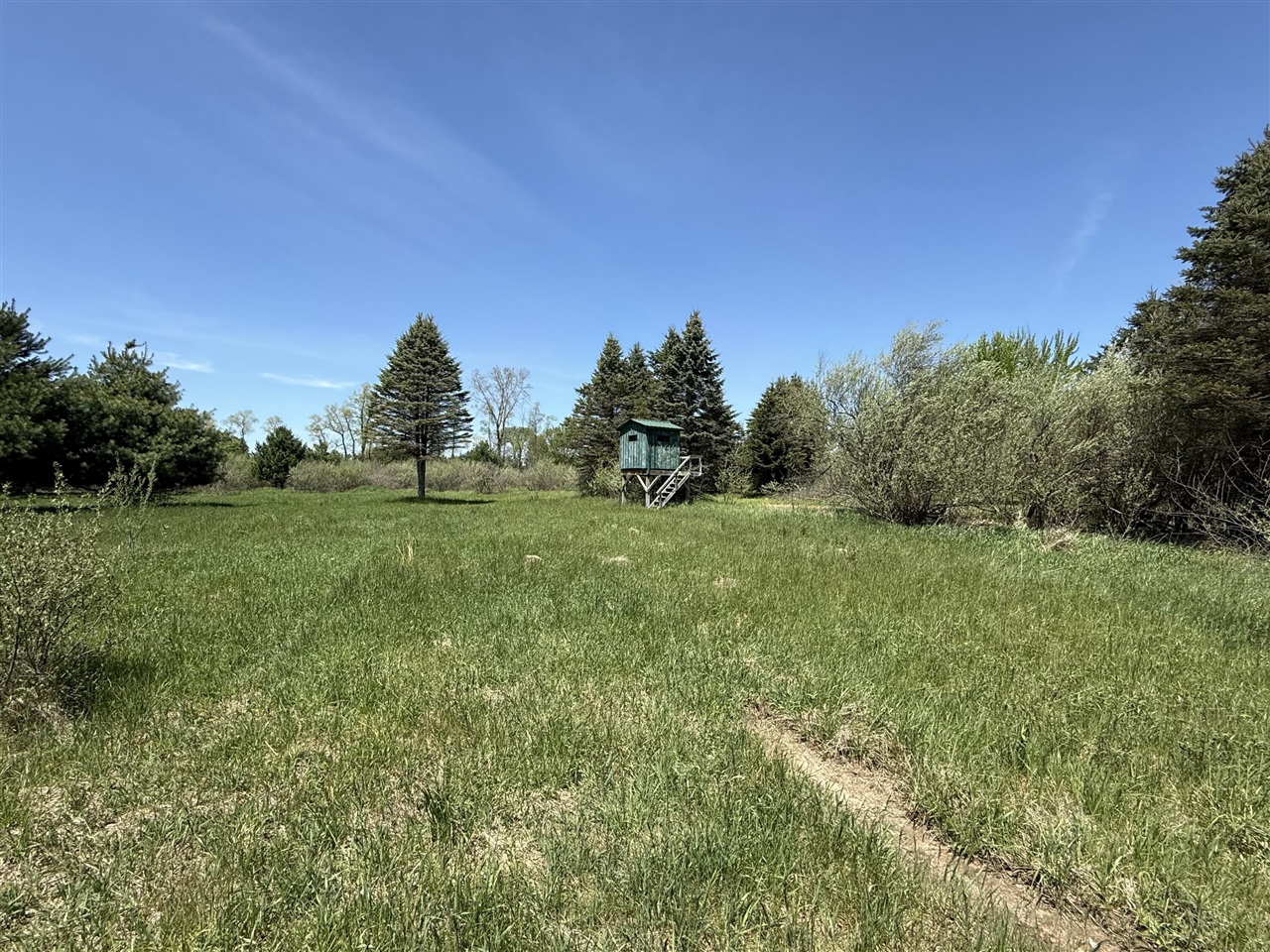 V/l Mcbride Road Stanton, MI 48888 - Photo 6 of 8