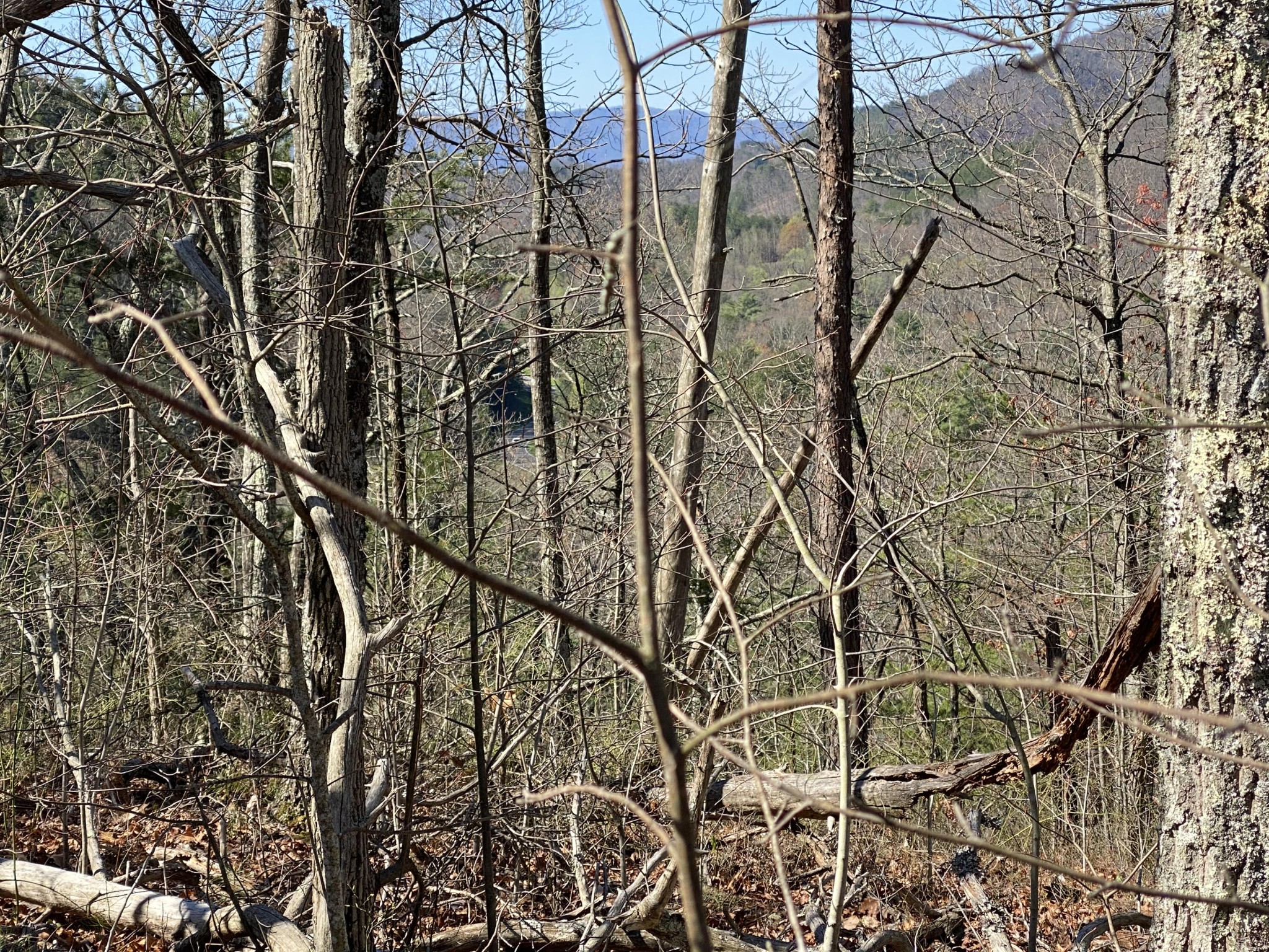 0 South Clear Fork Road Sevierville, TN 37862 - Photo 16 of 22 Gallery Image 16