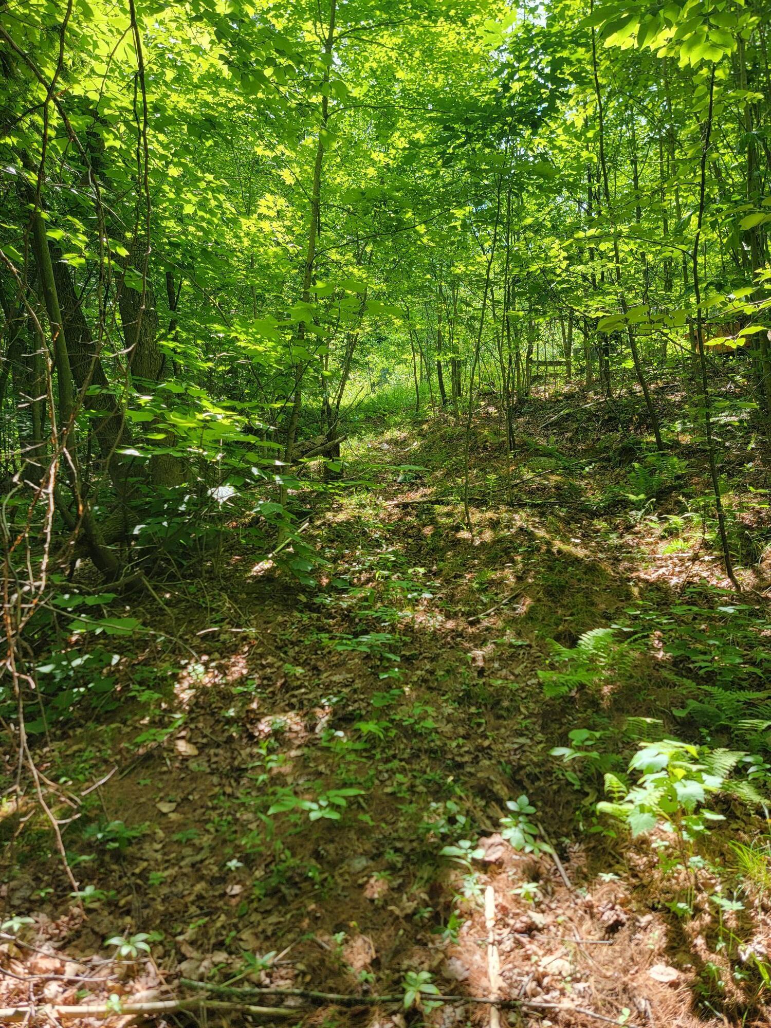 477 Hadley Mill Road Jackson, ME 04921 - Photo 24 of 32