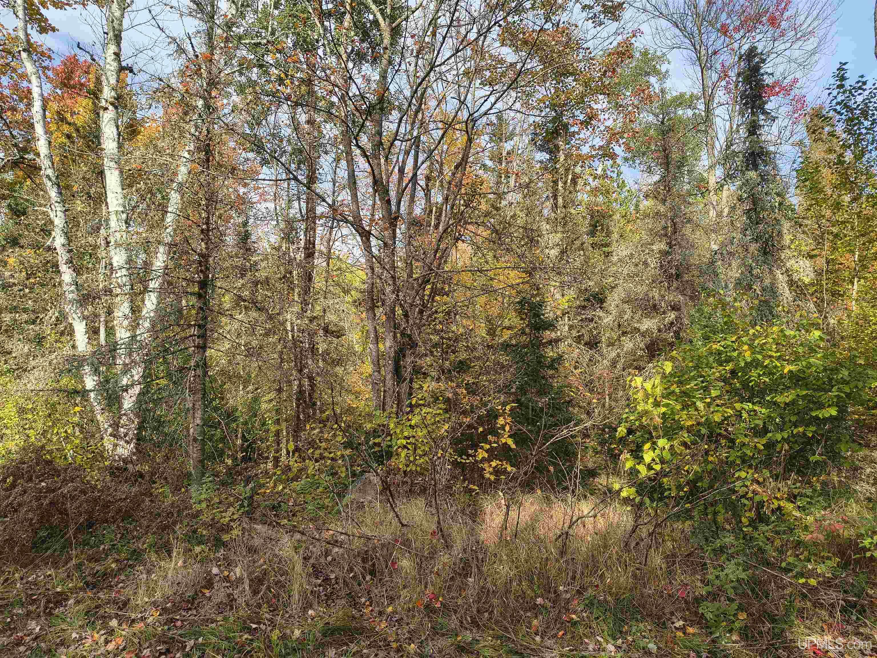 1 Rd Amasa Mi 49903 Road Crystal Falls, MI 49920 - Photo 27 of 33