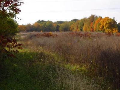 Brush Road Niles, MI 49120 - Photo 1 of 2 Primary Photo