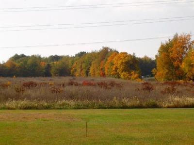 Brush Road Niles, MI 49120 - Photo 2 of 2 Additional Photo