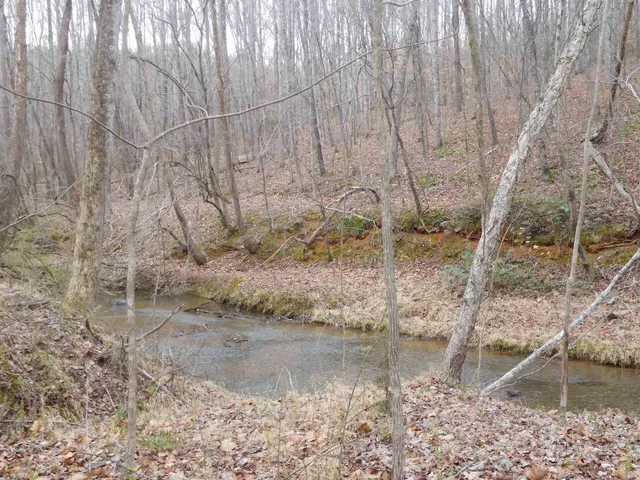 $299,900 | Tbd White Plains Road, Columbia, SC 29209