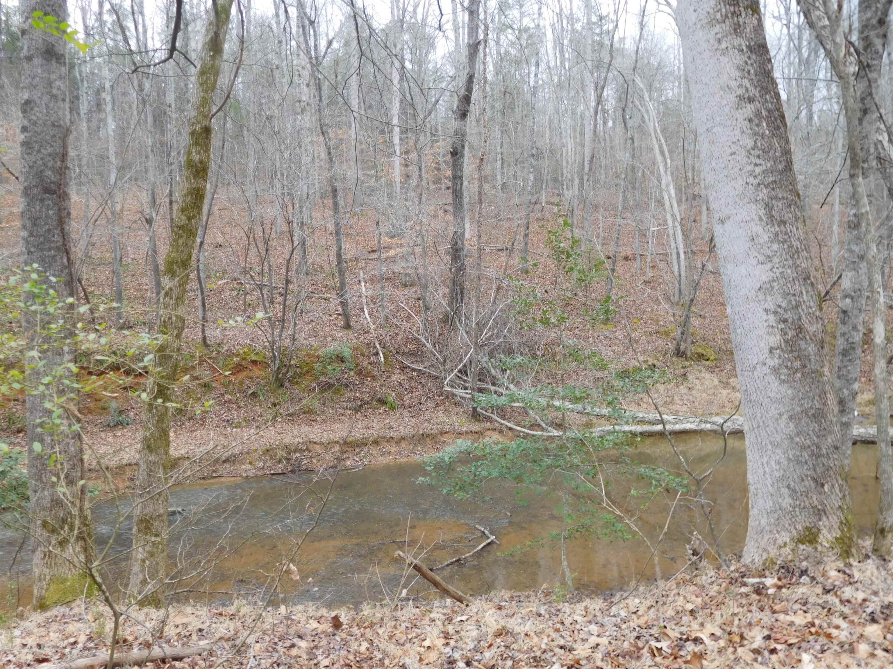 Tbd White Plains Road Columbia, SC 29209 - Photo 2 of 5