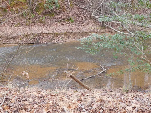 $299,900 | Tbd White Plains Road, Columbia, SC 29209