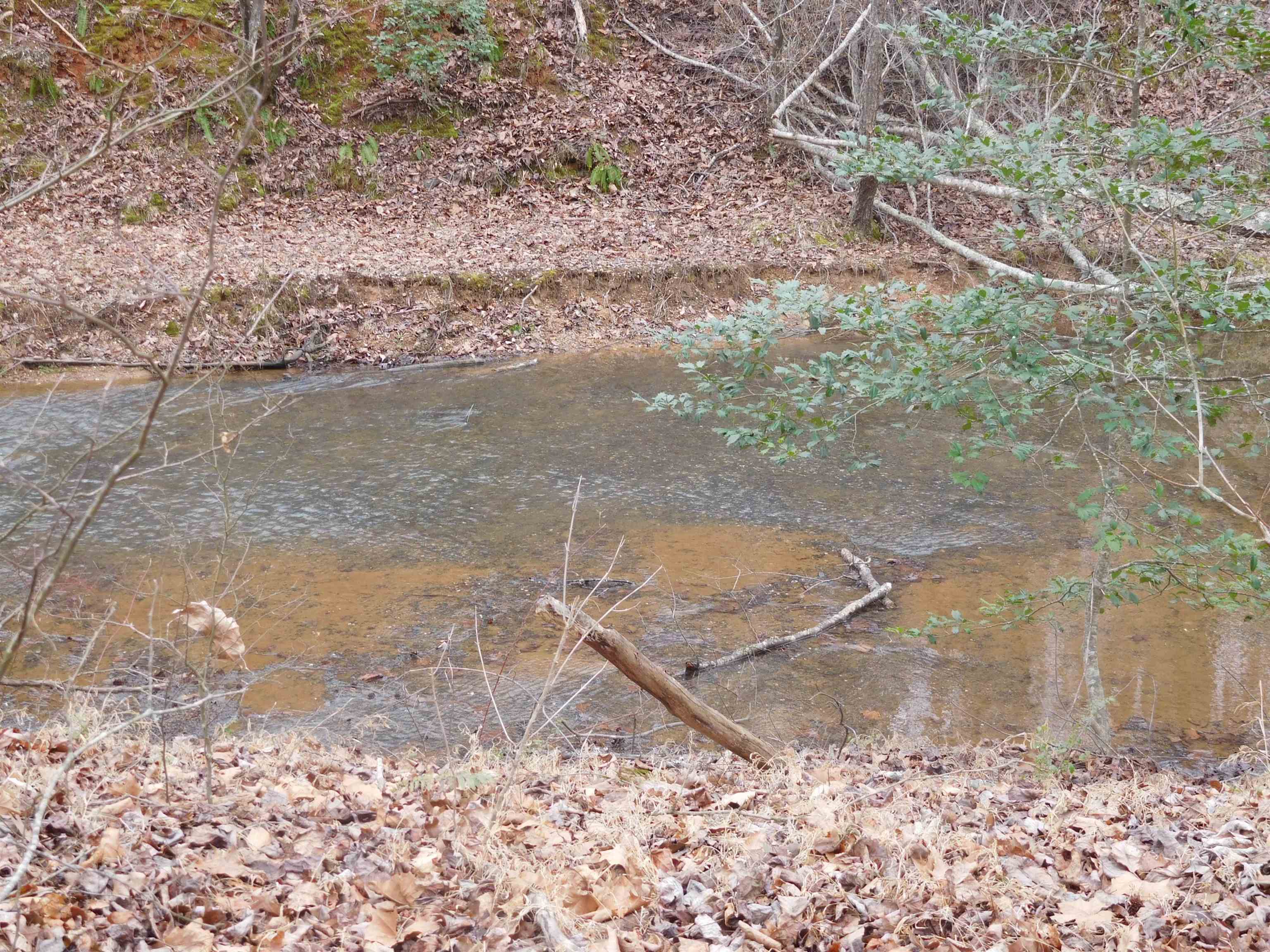 Tbd White Plains Road Columbia, SC 29209 - Photo 3 of 5