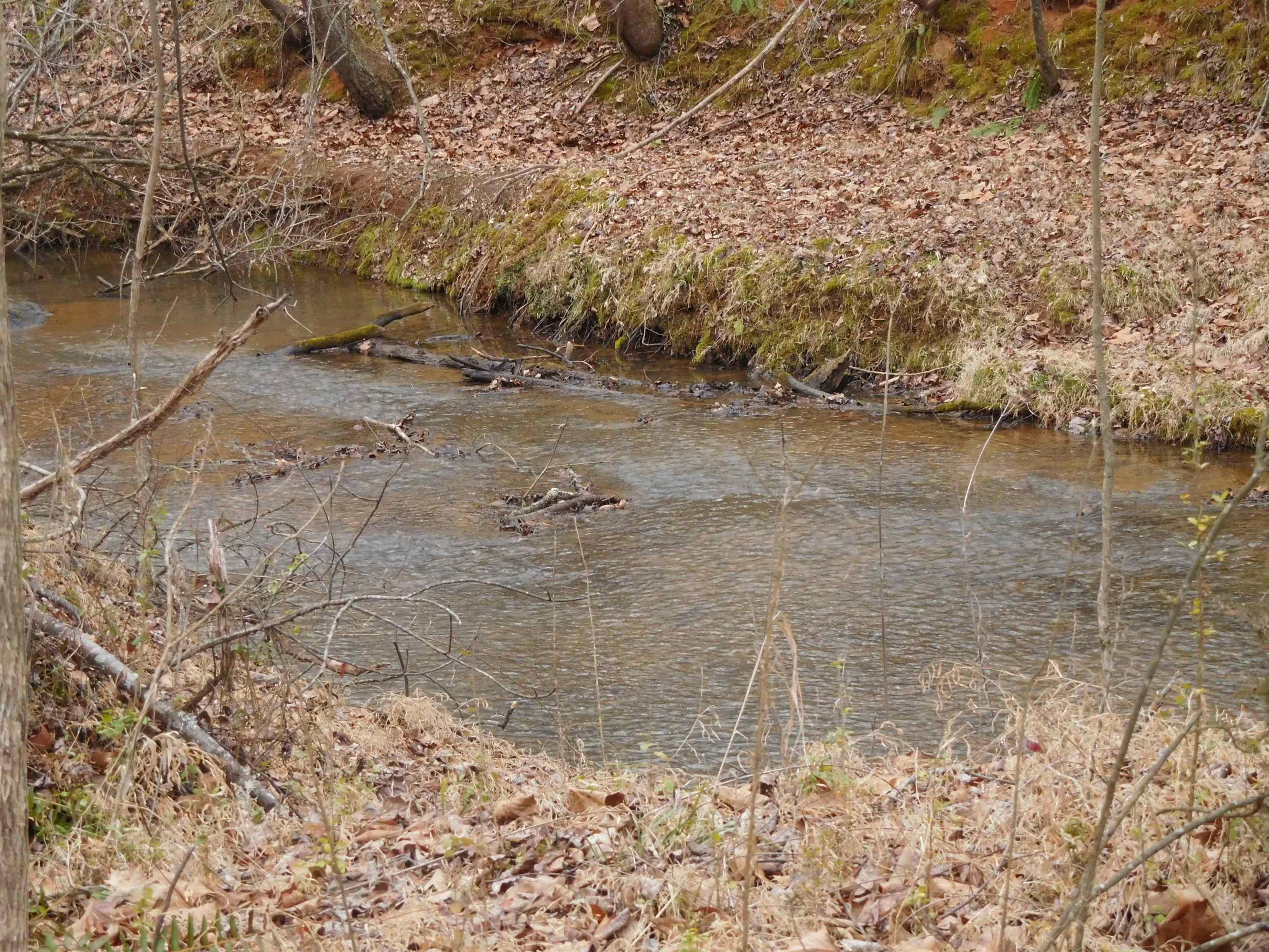 Tbd White Plains Road Columbia, SC 29209 - Photo 4 of 5