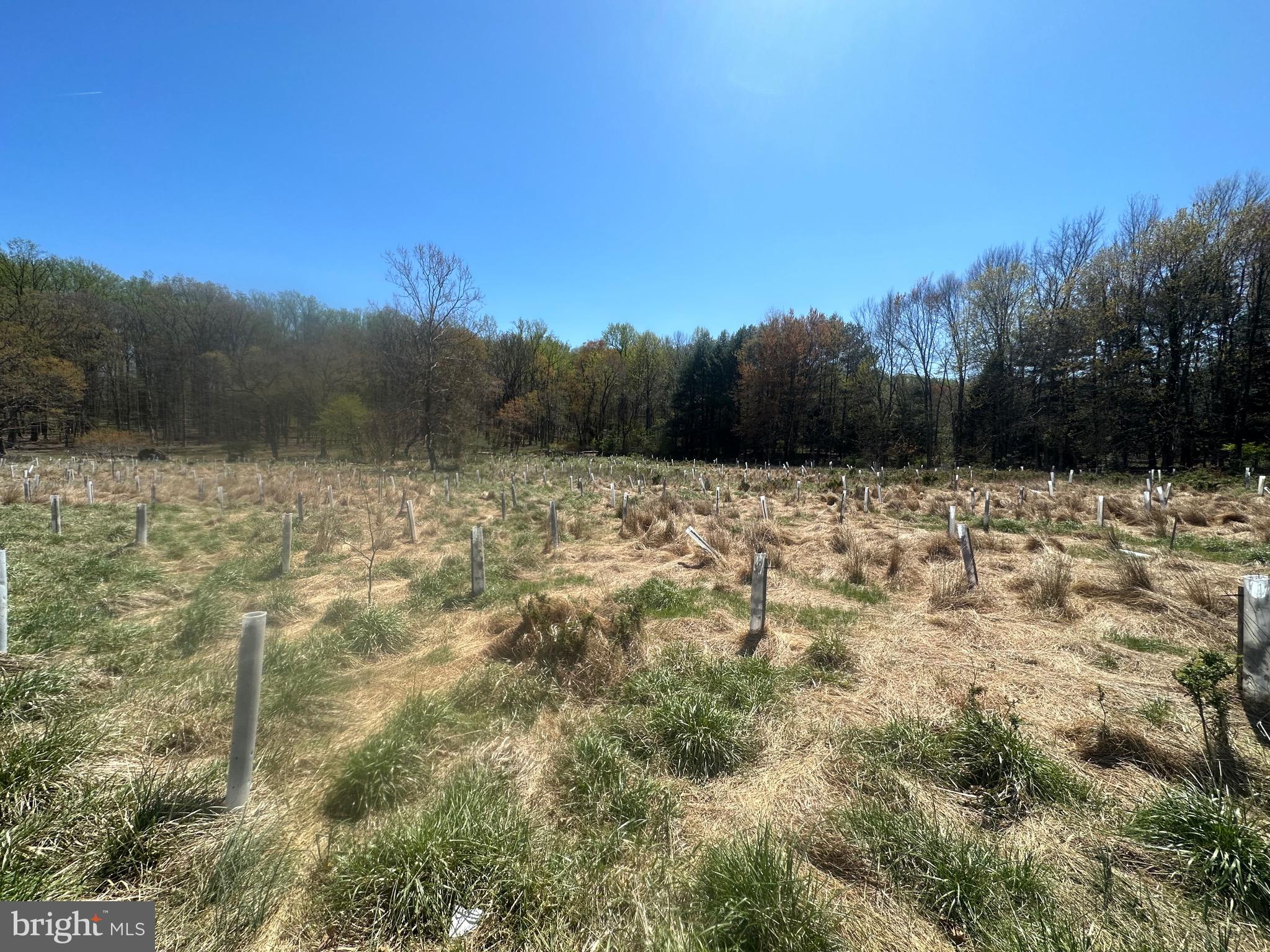 5022 Ten Oaks Road Clarksville, MD 21029 - Photo 12 of 37