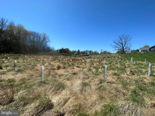 a view of a yard with a building in the background