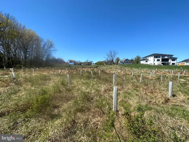 a view of a backyard of a house