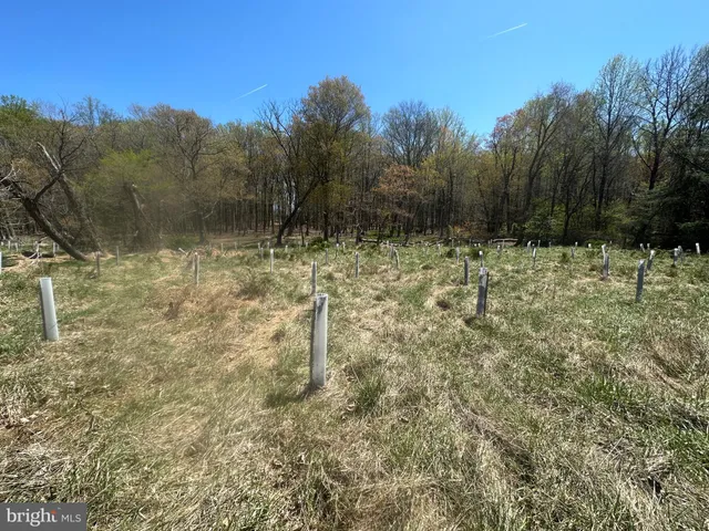a view of a lake with a building in the background