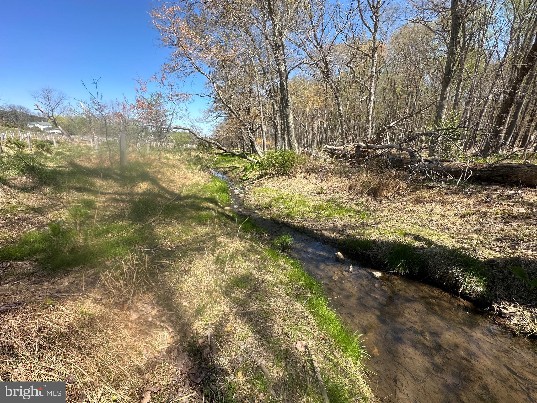 5022 Ten Oaks Road Clarksville, MD 21029 - Photo 19 of 37 a view of a yard with trees