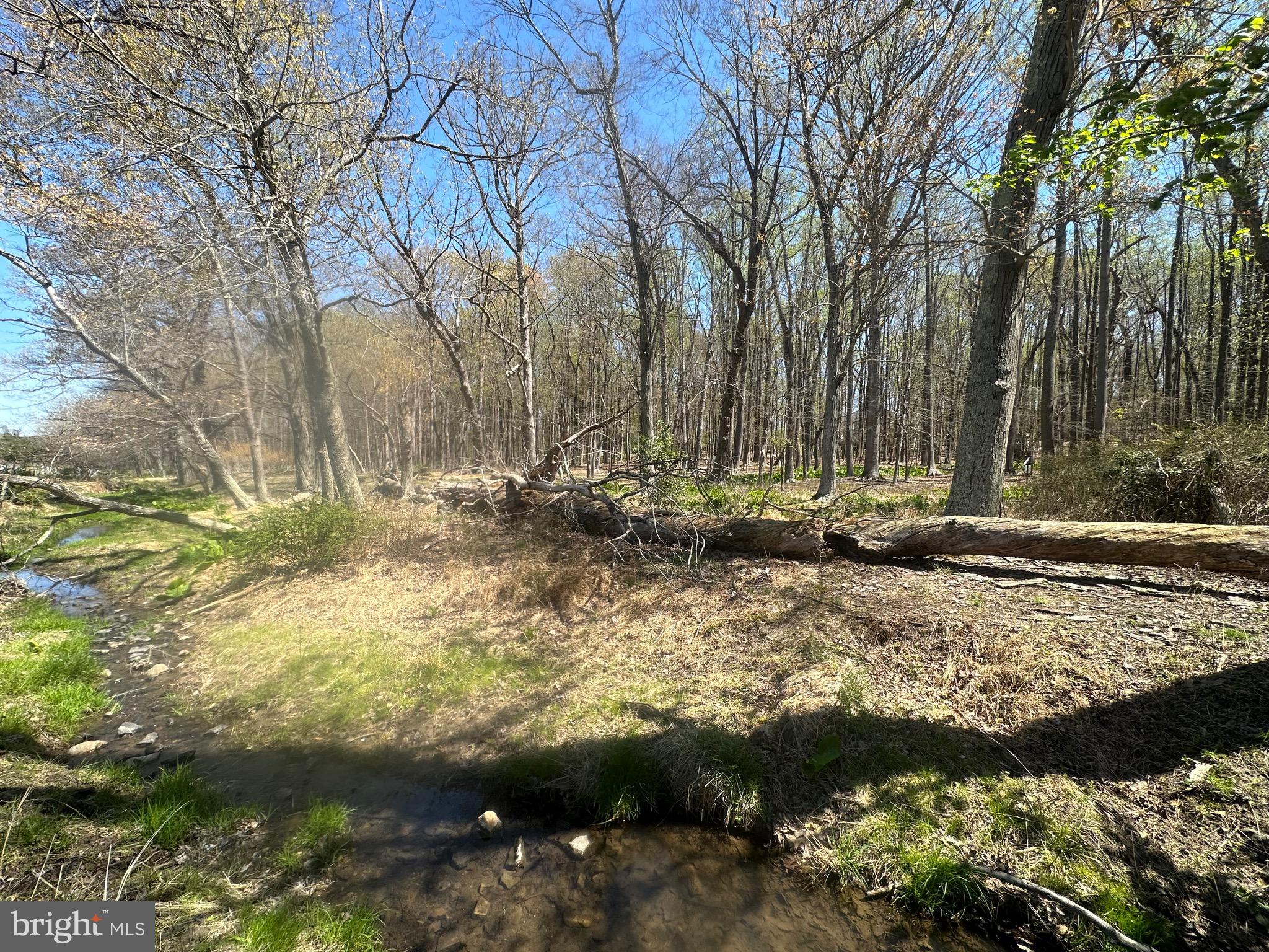 5022 Ten Oaks Road Clarksville, MD 21029 - Photo 20 of 37 a view of a yard with a tree