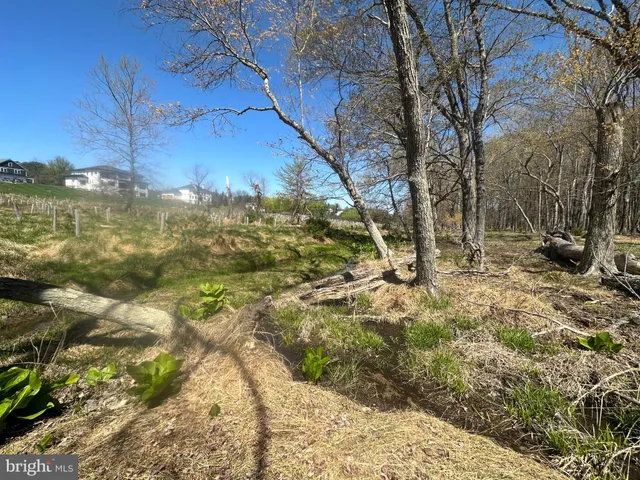 a view of a backyard of a house