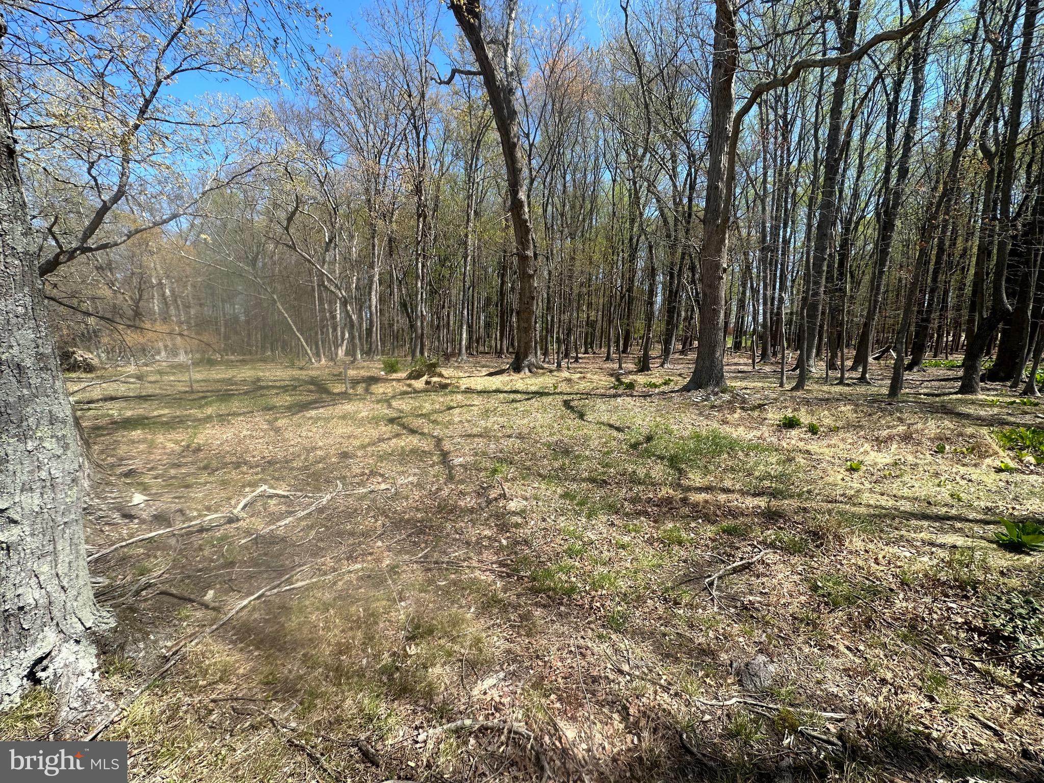 5022 Ten Oaks Road Clarksville, MD 21029 - Photo 22 of 37 a view of a backyard of a house