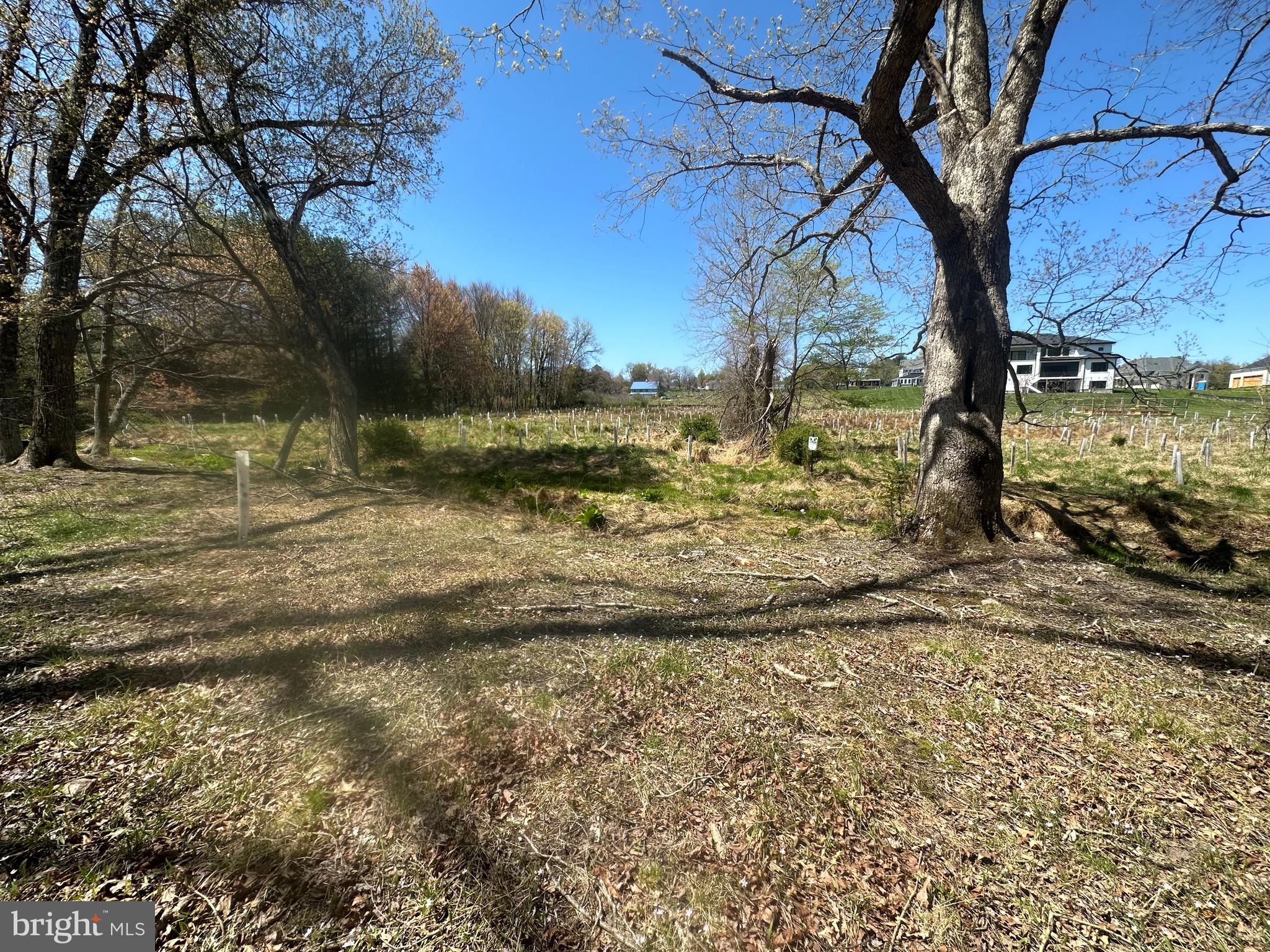 5022 Ten Oaks Road Clarksville, MD 21029 - Photo 23 of 37 a view of a yard with an outdoor space