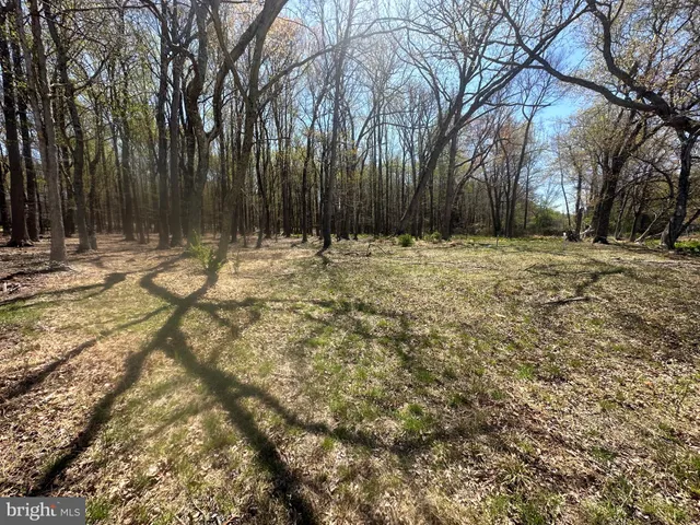 a view of yard covered with green space