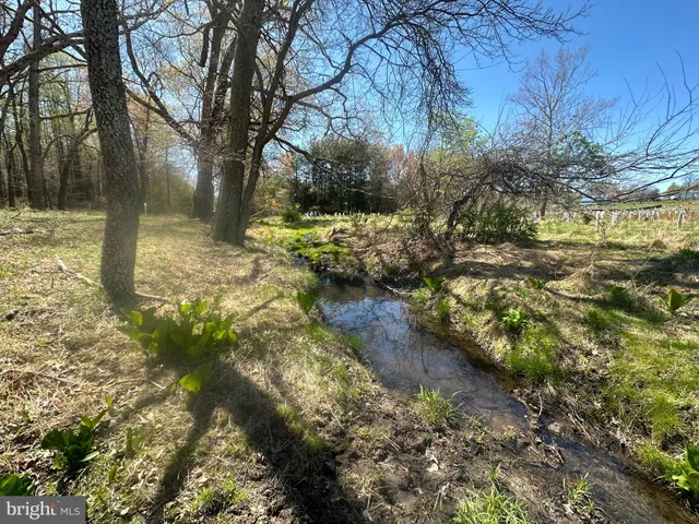 a view of lake and city