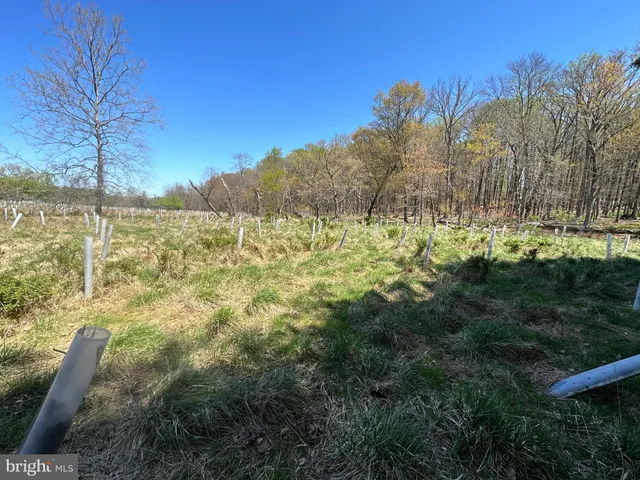 a view of a building with mountains in the background