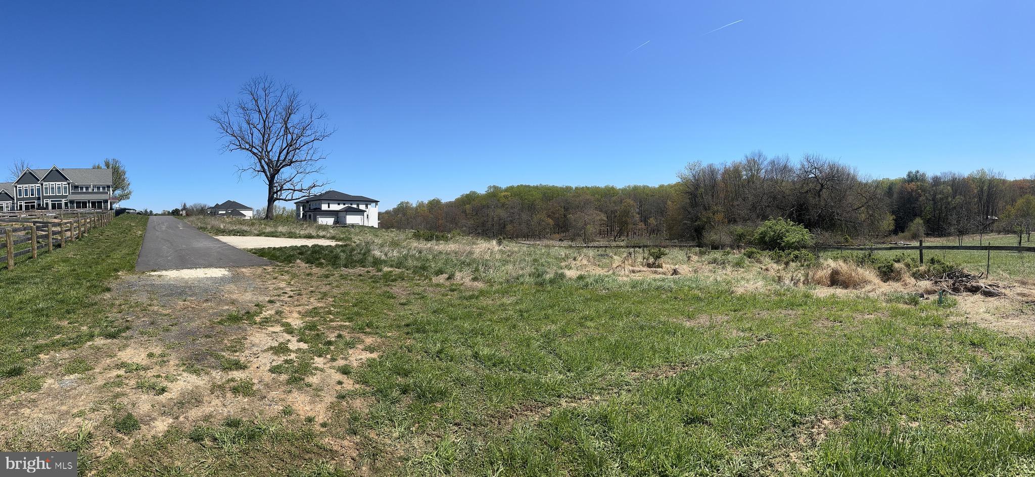 5022 Ten Oaks Road Clarksville, MD 21029 - Photo 3 of 37 a view of a forest with a tree