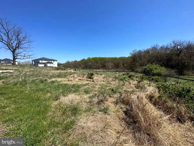 a view of a lake with mountains in the background