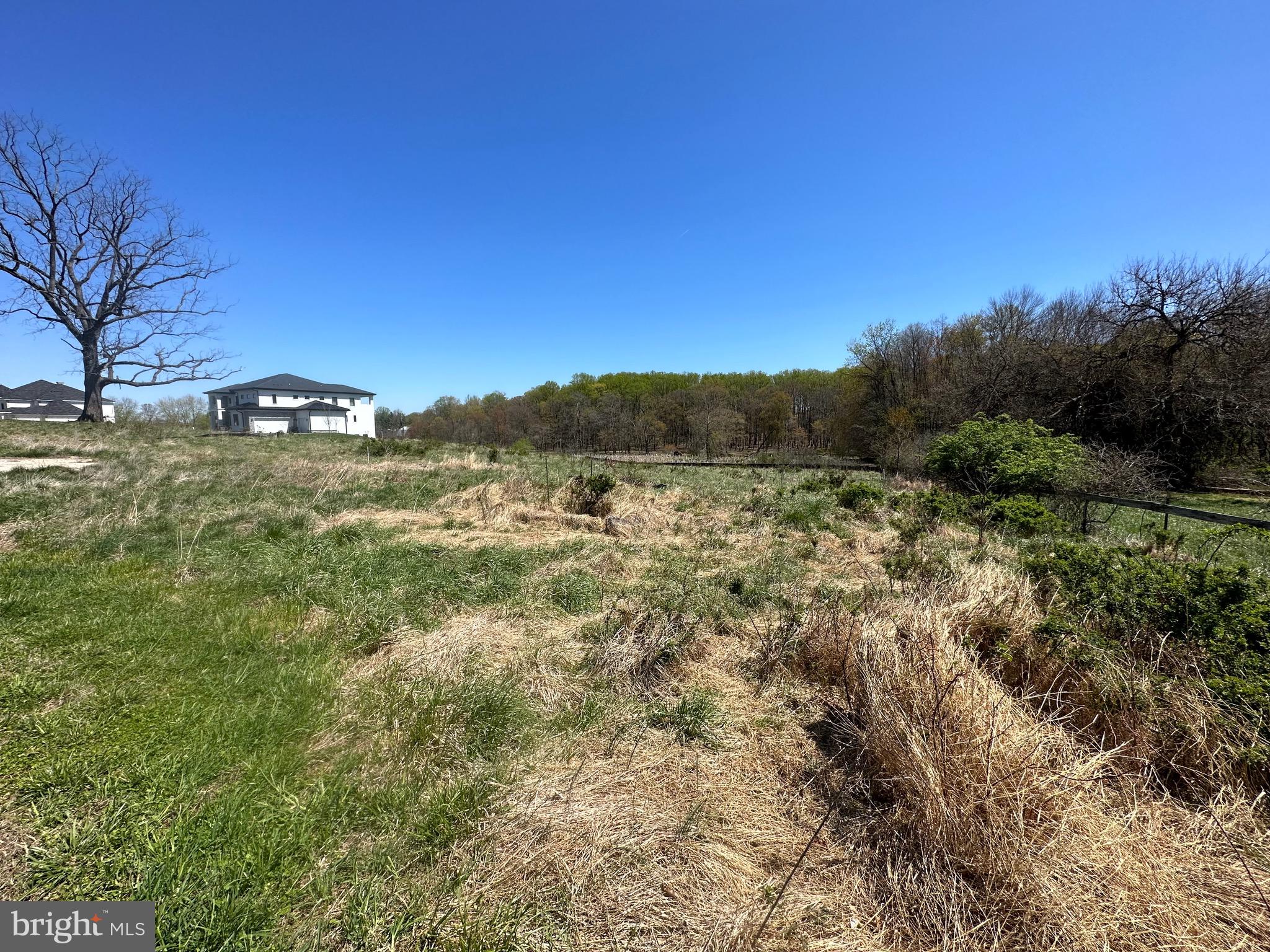 5022 Ten Oaks Road Clarksville, MD 21029 - Photo 35 of 37 a view of a large yard with lots of green space