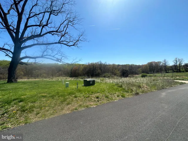 a view of a field of grass and trees