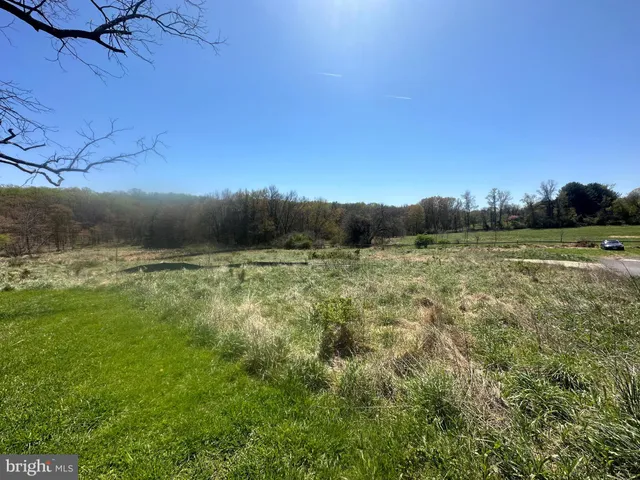 a view of a field of grass and trees