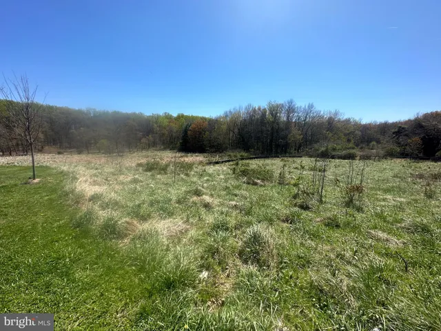 a view of an outdoor space and a yard