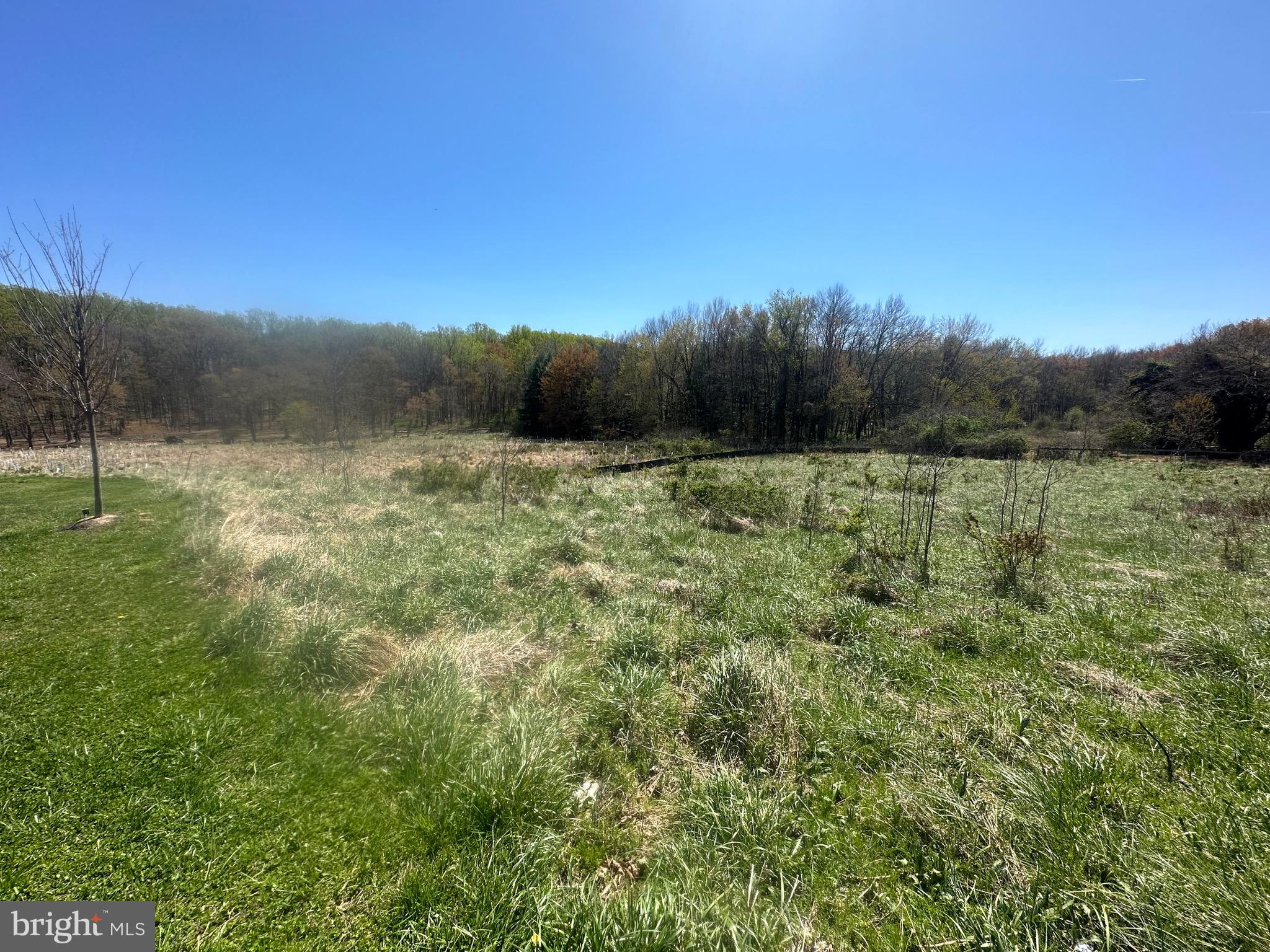 5022 Ten Oaks Road Clarksville, MD 21029 - Photo 8 of 37 a view of an outdoor space and a yard