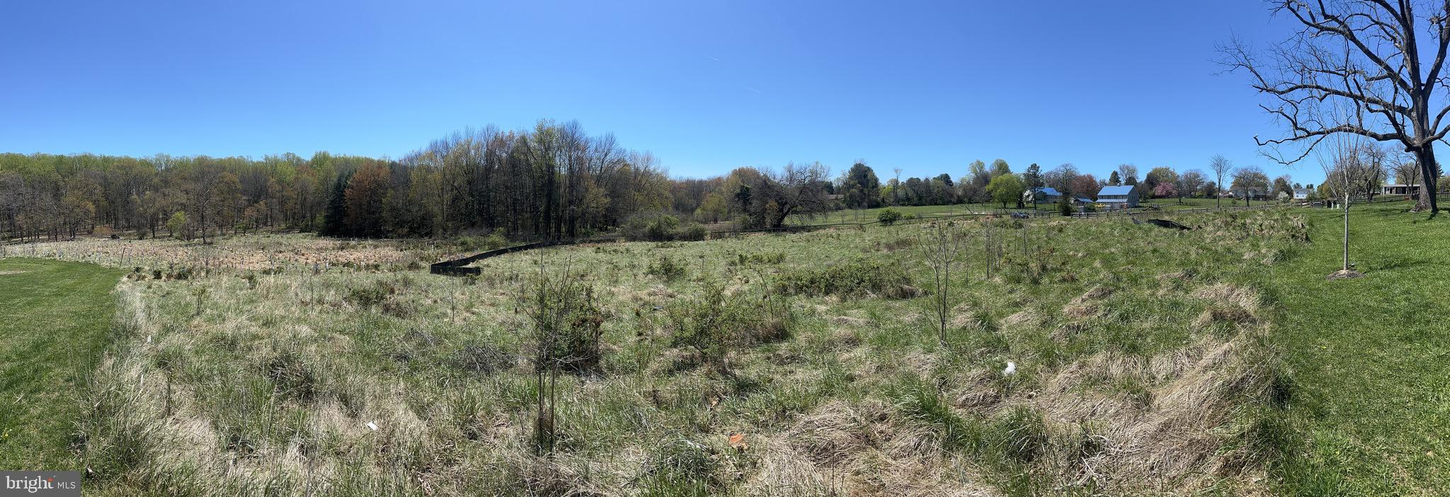 5022 Ten Oaks Road Clarksville, MD 21029 - Photo 9 of 37 a view of a yard with a tree