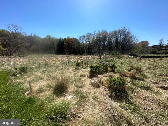 a view of lake with green space