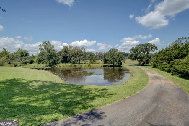 a view of outdoor space with trees all around