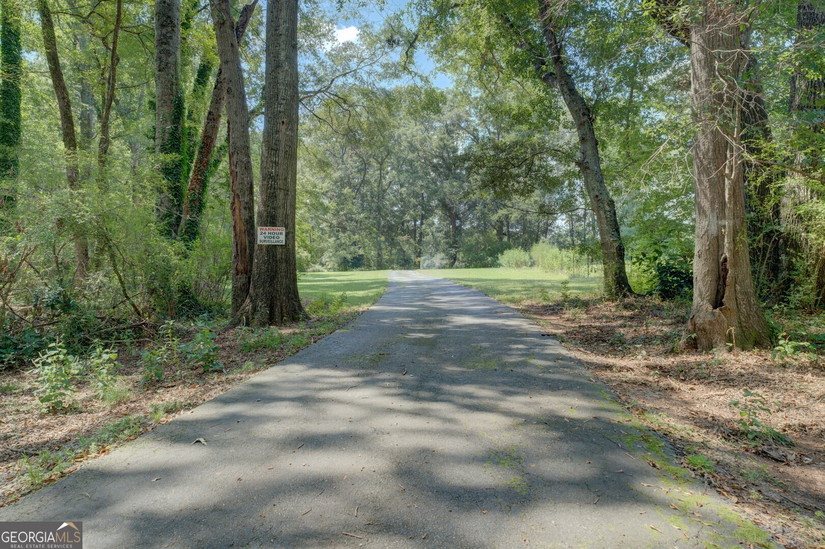 925 Highway 36 East Jackson, GA 30233 - Photo 7 of 90 a view of outdoor space with trees all around