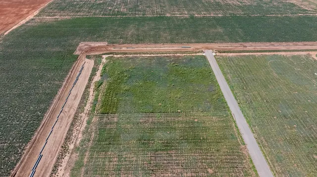 a view of a swimming pool
