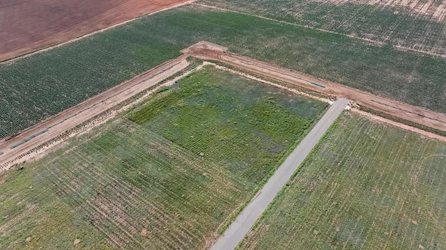 a view of a back yard