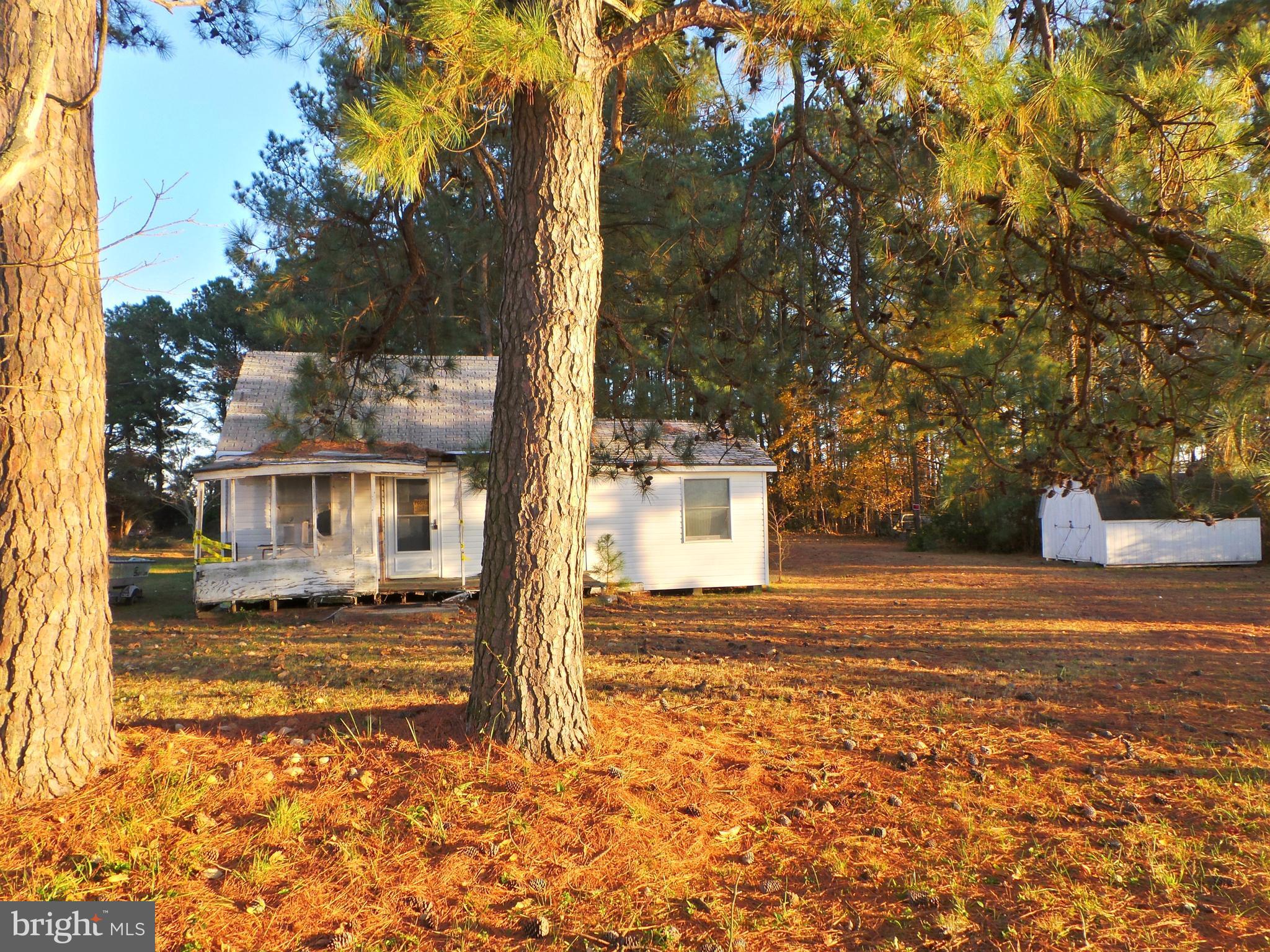 16641 St Jeromes Neck Road Dameron, MD 20628 - Photo 4 of 16 View of cottage from the center of the property