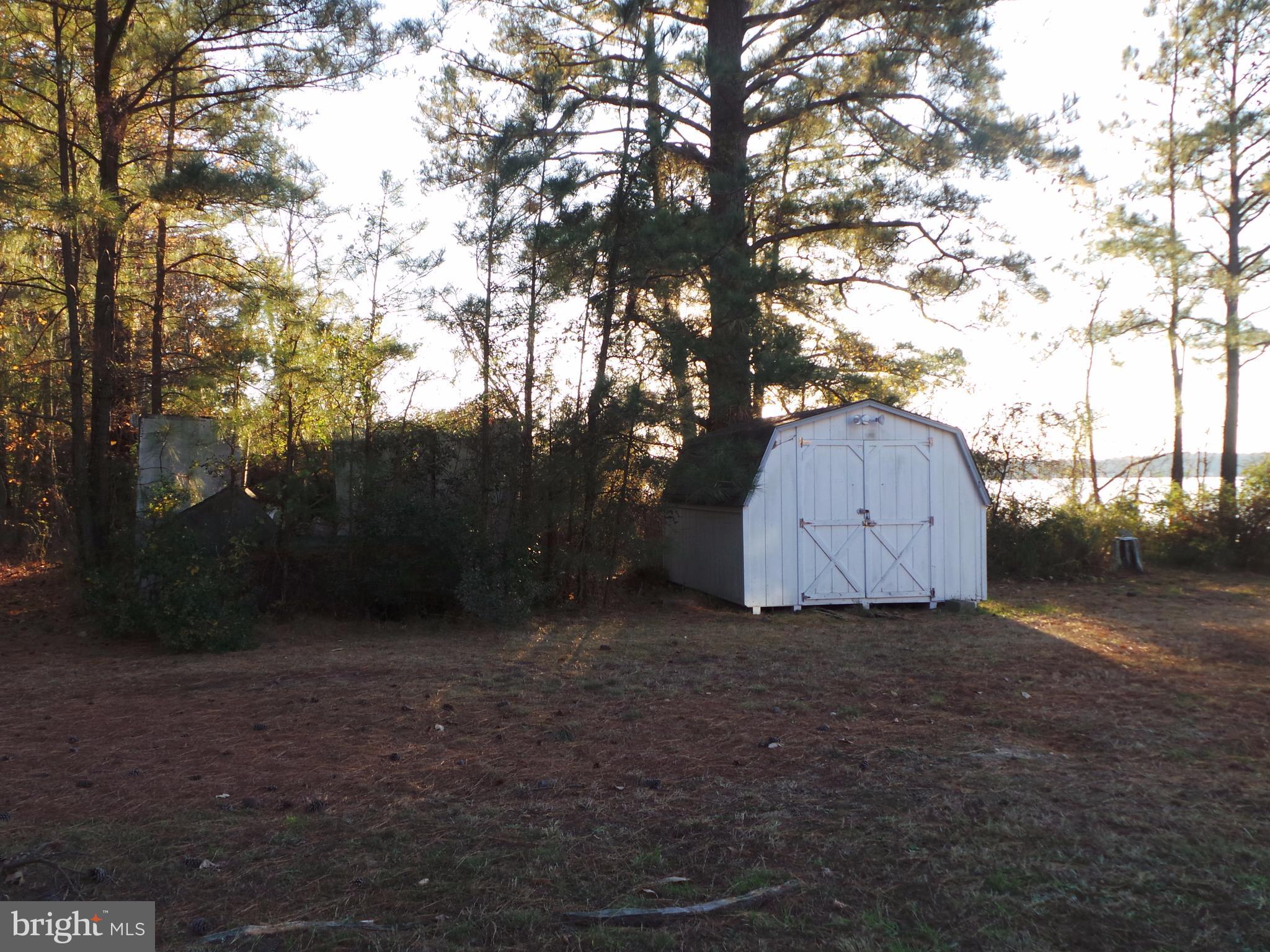 16641 St Jeromes Neck Road Dameron, MD 20628 - Photo 8 of 16 Large storage shed