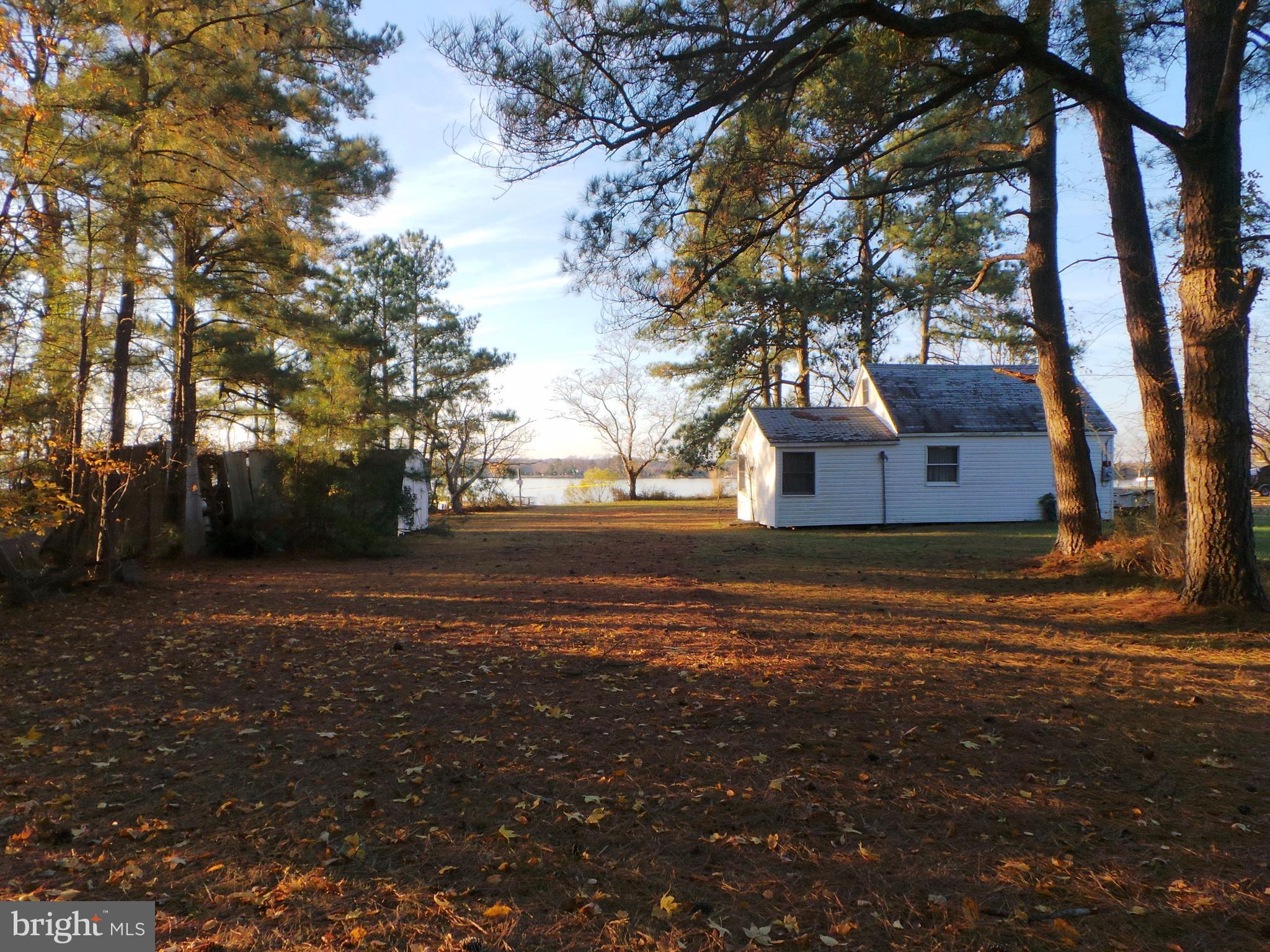 16641 St Jeromes Neck Road Dameron, MD 20628 - Photo 10 of 16 View showing the level land surrounded by trees