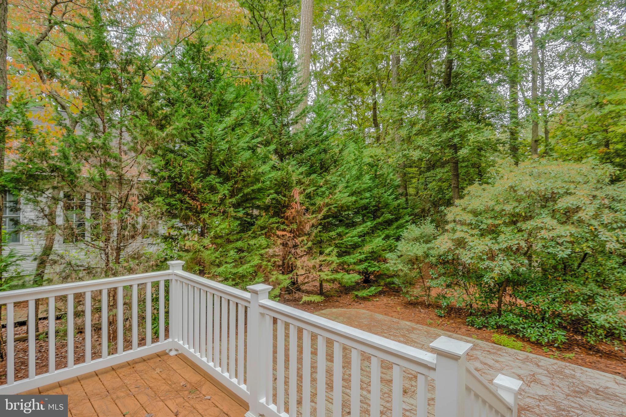 57 Sandyhook Road Ocean Pines, MD 21811 - Photo 35 of 52 Rear deck
