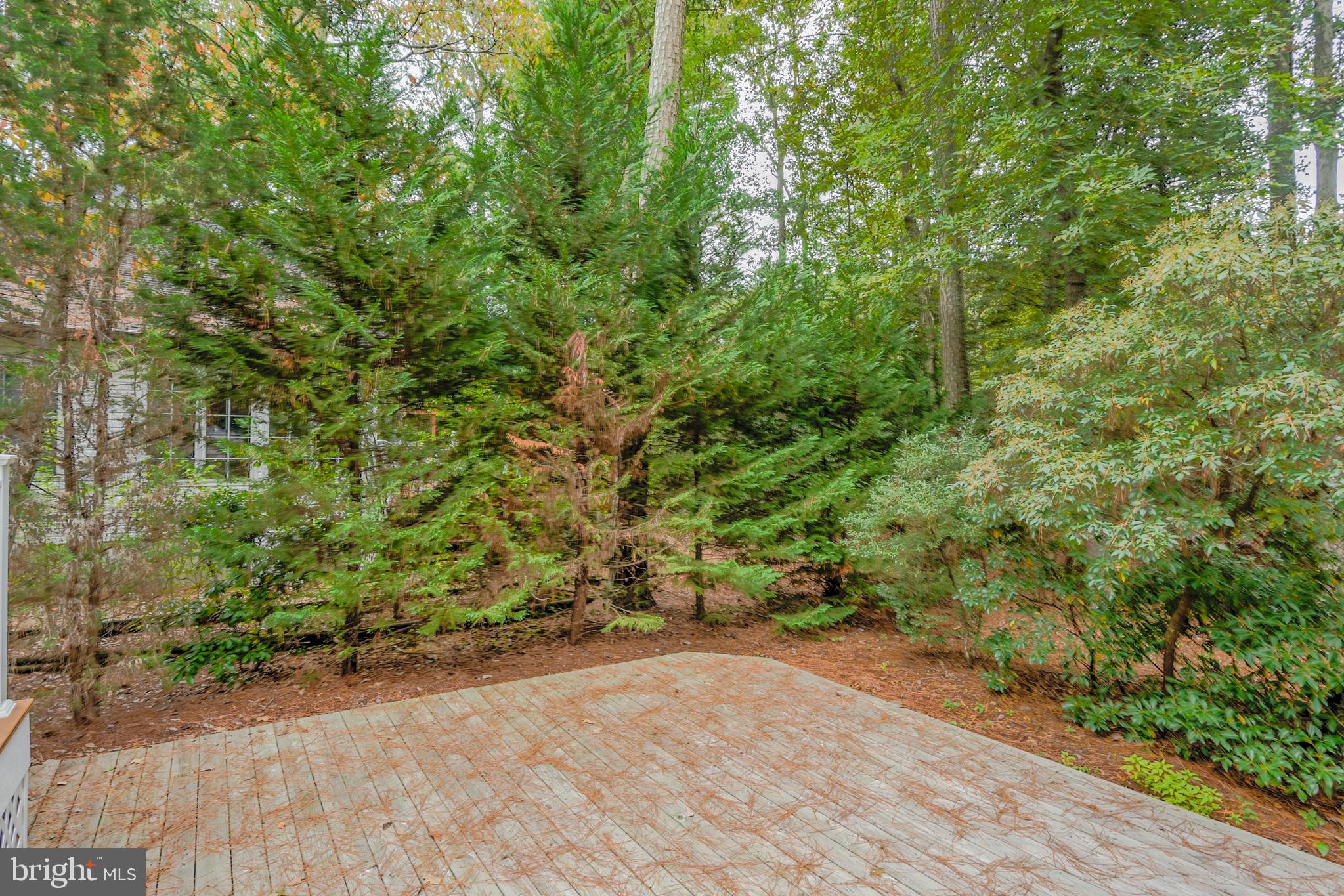57 Sandyhook Road Ocean Pines, MD 21811 - Photo 37 of 52 View from deck to private rear yard